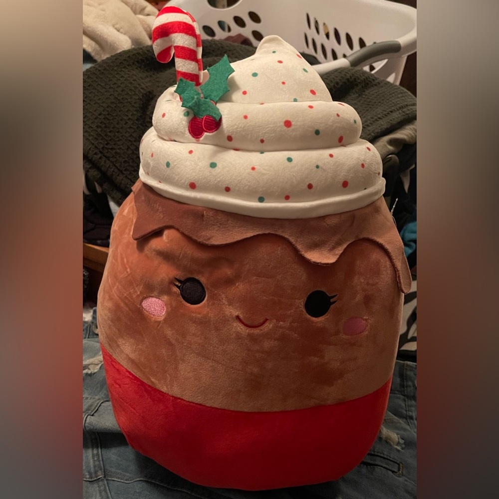 BNWT SIVI, large spice latte squishmallow!!